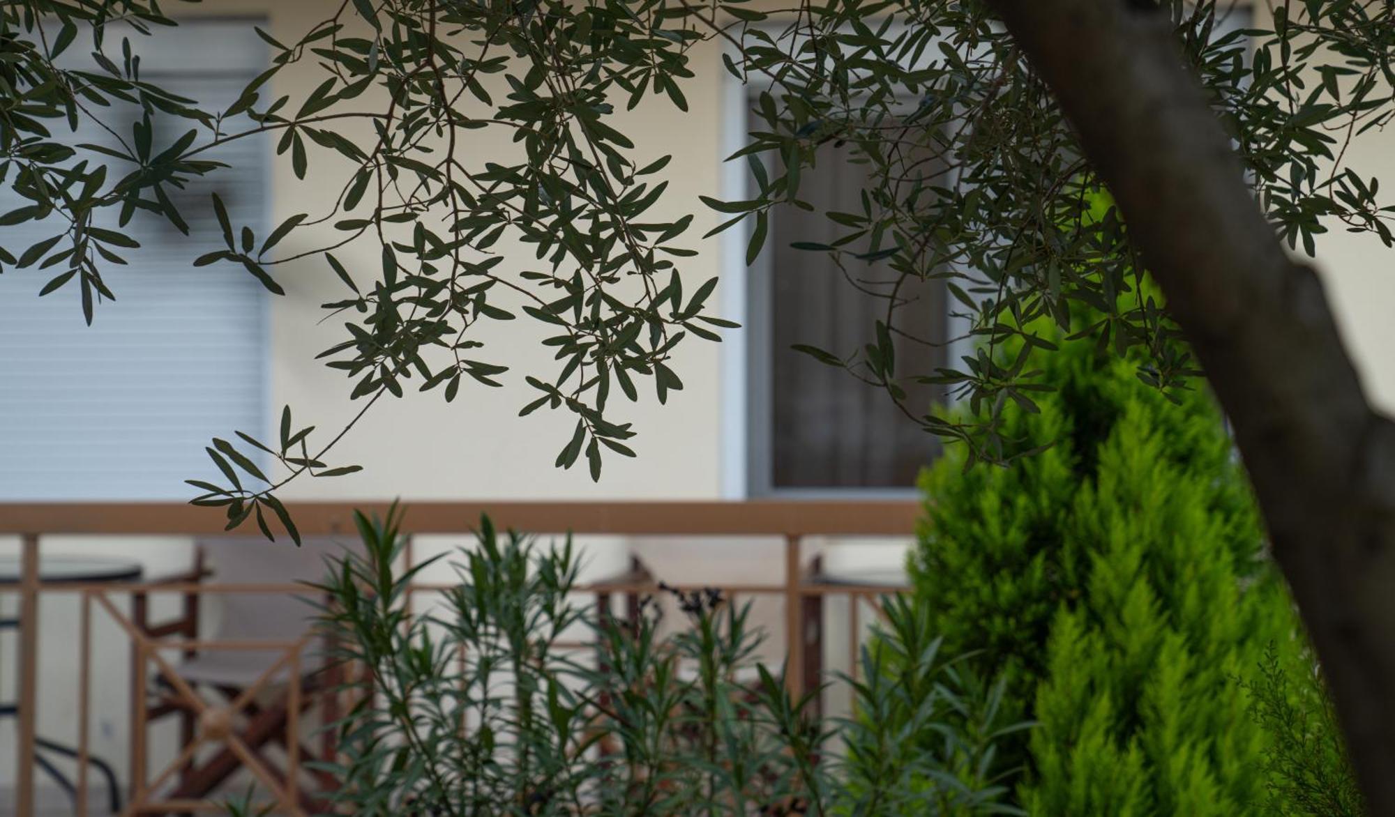 Guesthouse Adonis Káto Loutrákion Exterior foto
